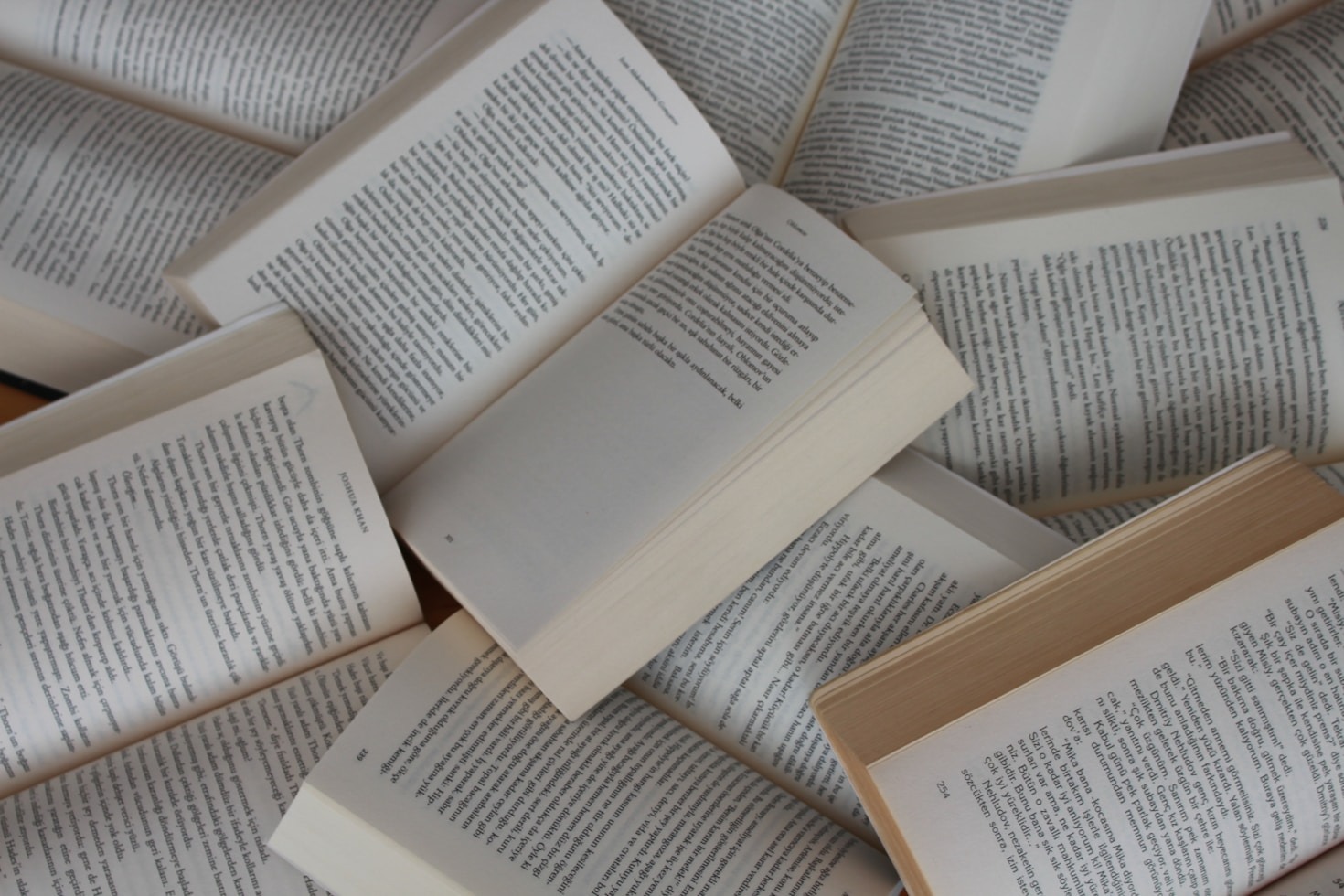 Literary Characters Brought to Life Through Crafts